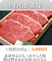 �_�ˋ��_�炩�Ԑg�X�e�[�L